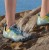 9debf9432c1773168afcb10a70266546.jpg
